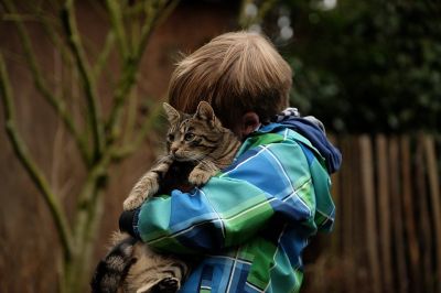 Детство, проведенное в одном доме с кошкой, повышает риск психоза во взрослой жизни - новости экологии на ECOportal