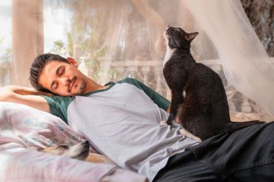 Хозяин, подъем: 3 совета, как отучить кошку будить вас ни свет ни заря - новости экологии на ECOportal