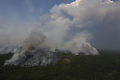 Информация о лесных пожарах в Российской Федерации на 23 апреля 2022 года - новости экологии на ECOportal