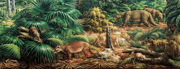 После вымирания динозавров тело у млекопитающих росло быстрее, чем мозг - новости экологии на ECOportal