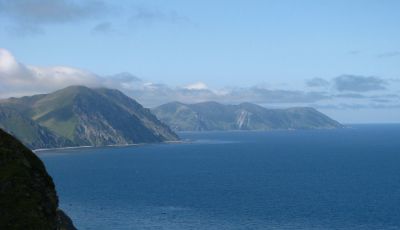 Правительство утвердило постановление о национальном парке «Командорские острова» - новости экологии на ECOportal
