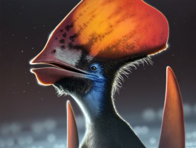У птерозавров все-таки были перья, но не для полета, а для красоты - новости экологии на ECOportal